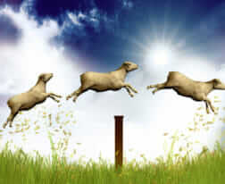 Counting jumping sheep 3d illustration