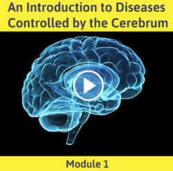 Module 1 - An Introduction to Diseases Controlled By the Cerebrum