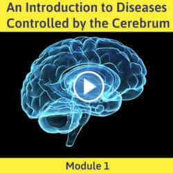 Module 1 - An Introduction to Diseases Controlled By the Cerebrum