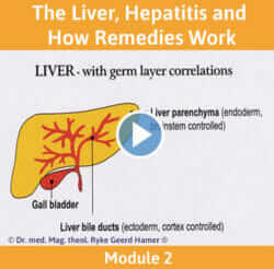 Module 2 - The Liver, Hepatitis and How Remedies Work